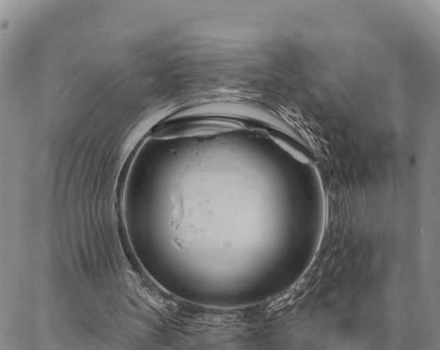 X0000086900147200704231202