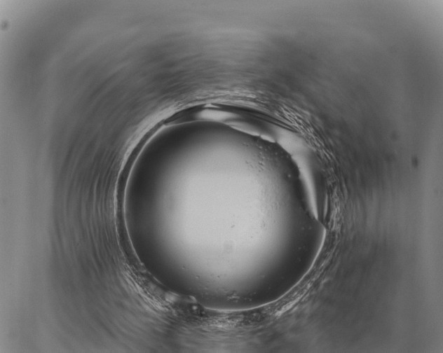 X0000086900148200704231202