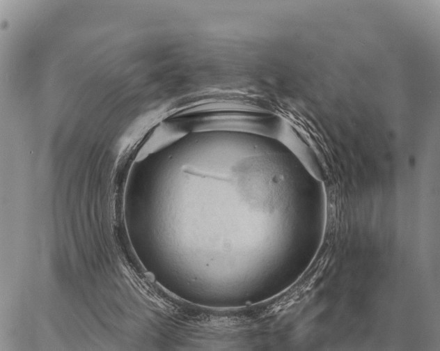 X0000086900149200704231202