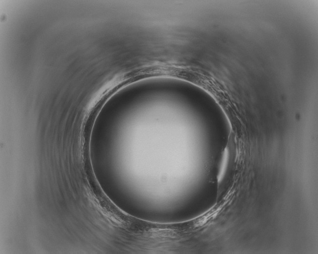 X0000086900150200704231202