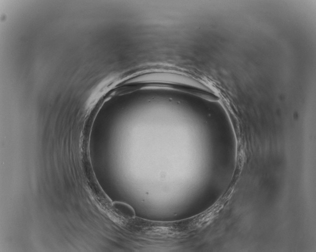 X0000086900151200704231202