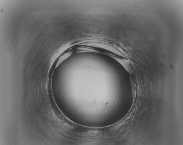 X0000086900152200704231202