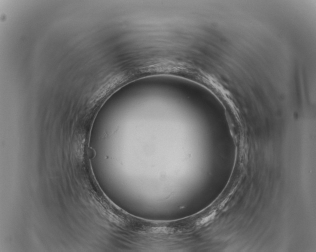 X0000086900153200704231202