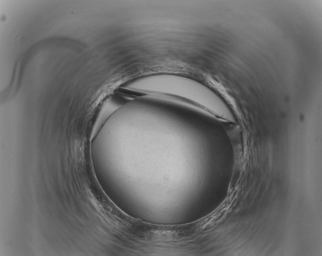 X0000086900154200704231202