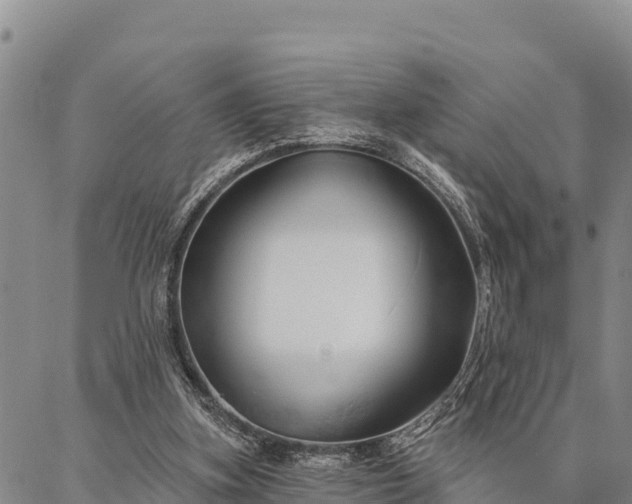 X0000086900155200704231202