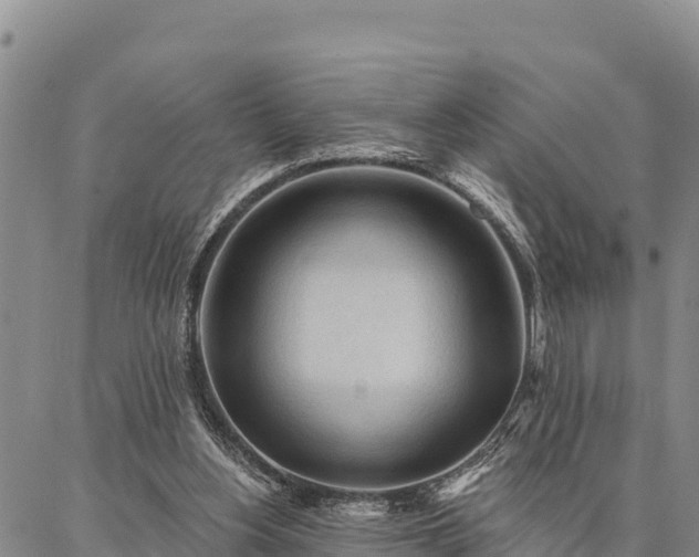 X0000086900156200704231202