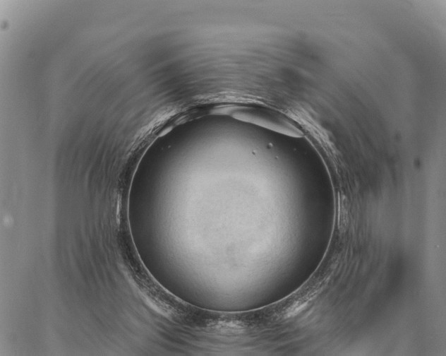 X0000086900157200704231202