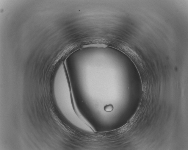 X0000086900158200704231202