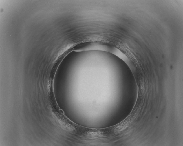 X0000086900160200704231202