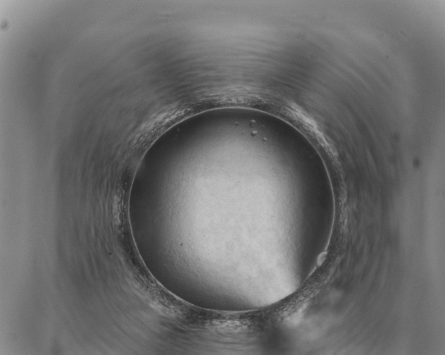 X0000086900161200704231202