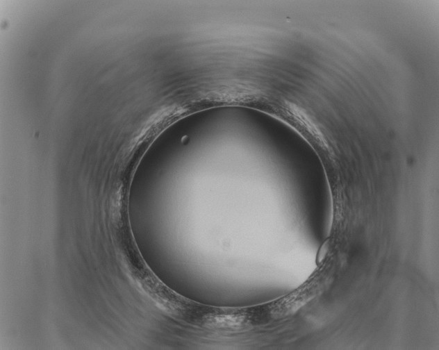 X0000086900163200704231202