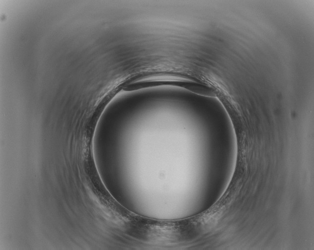 X0000086900164200704231202