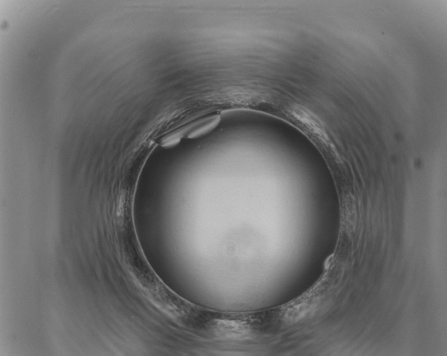 X0000086900167200704231202