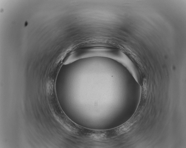 X0000086900168200704231202