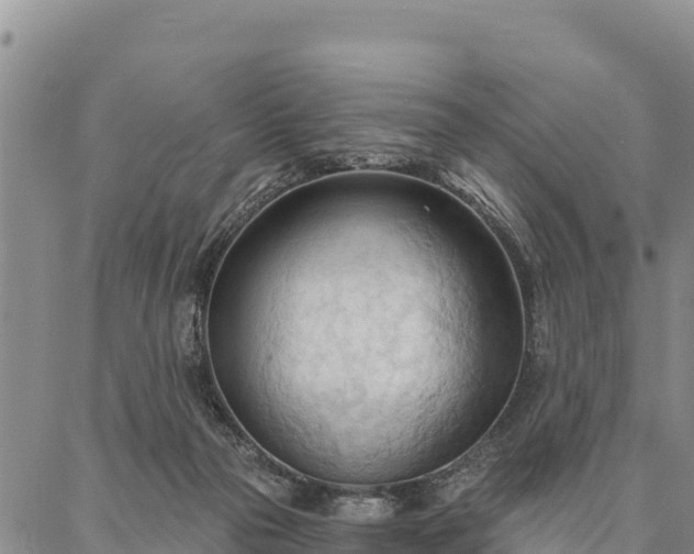 X0000086900169200704231202