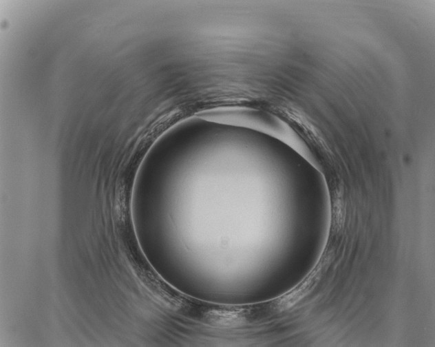 X0000086900170200704231202