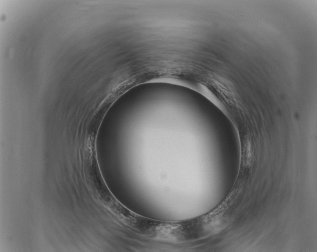 X0000086900172200704231202