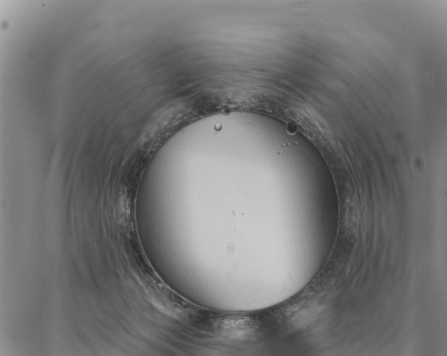 X0000086900173200704231202