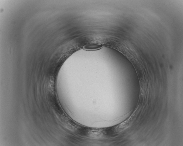 X0000086900175200704231202