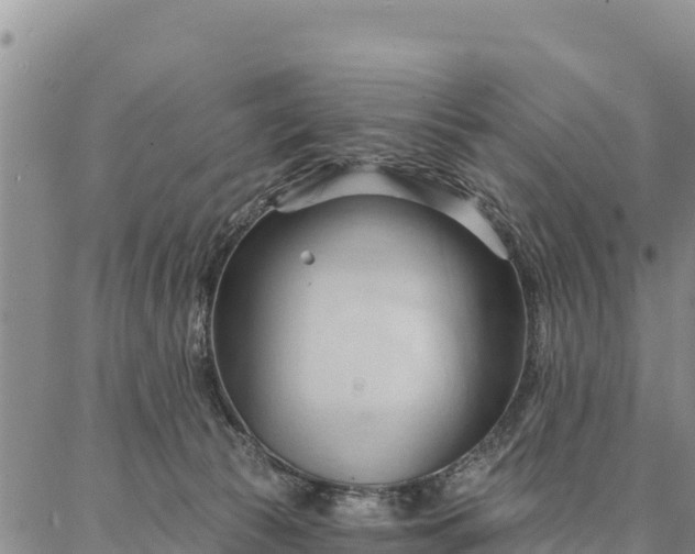 X0000086900177200704231202