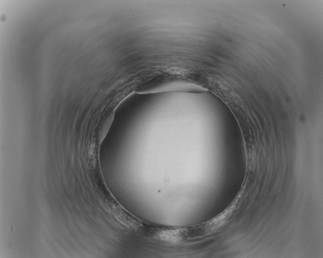 X0000086900178200704231202