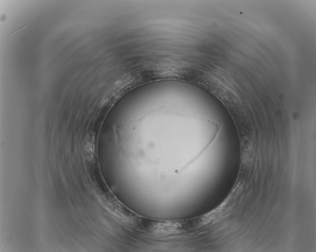 X0000086900179200704231202