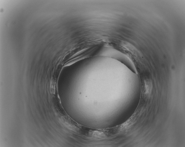 X0000086900180200704231202