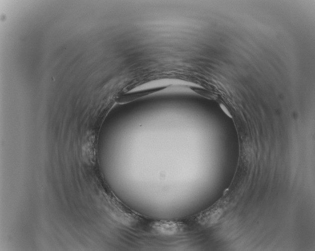 X0000086900181200704231202