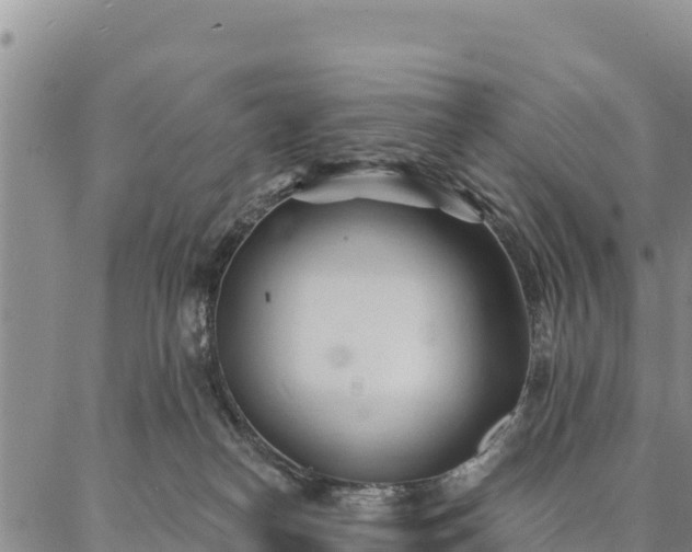 X0000086900182200704231202