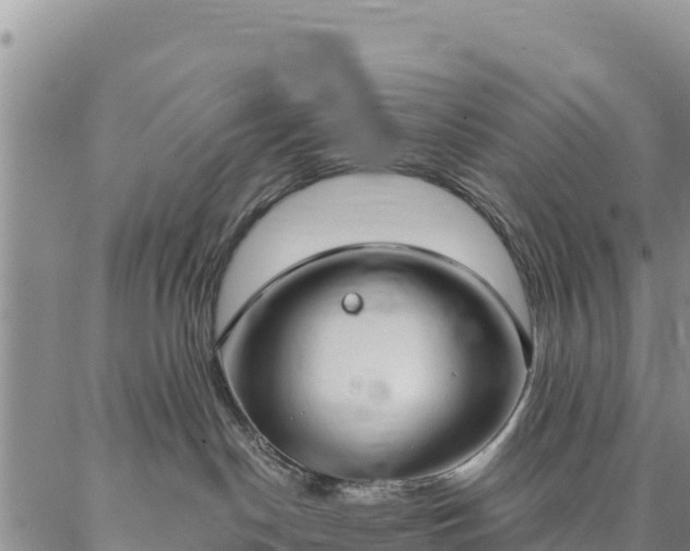 X0000086900190200704231202