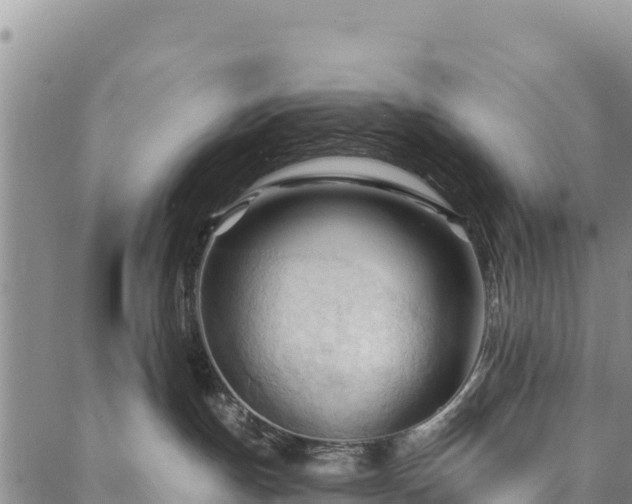 X0000086900191200704231202