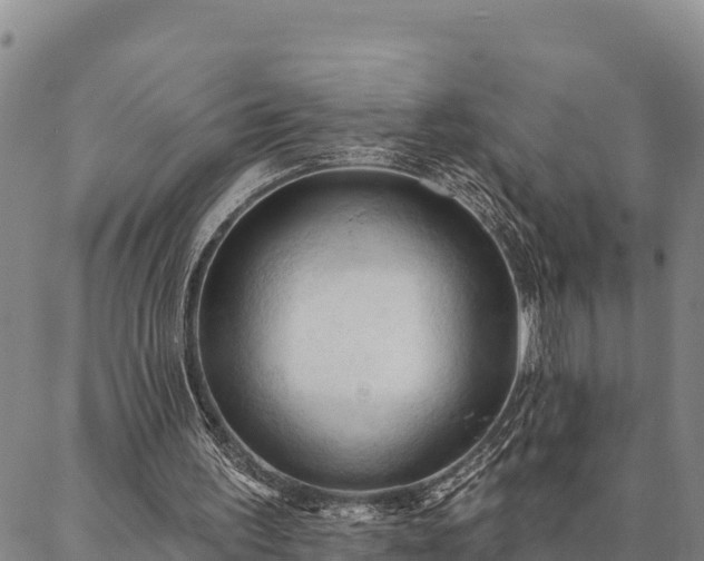 X0000086900195200704231202