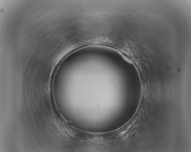 X0000086900196200704231202