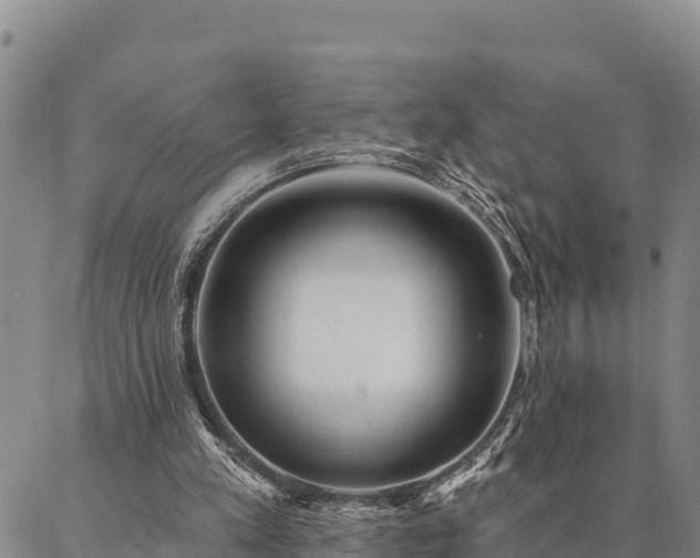 X0000086900197200704231202