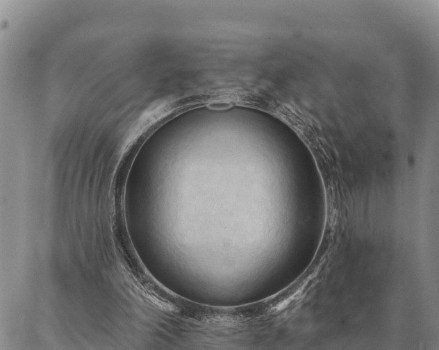 X0000086900198200704231202