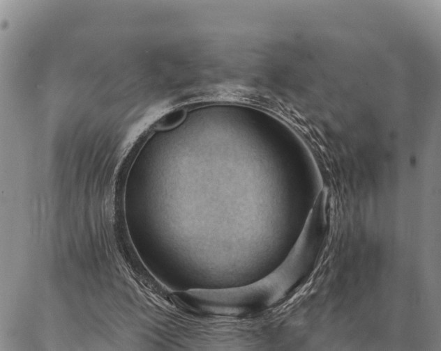 X0000086900200200704231202