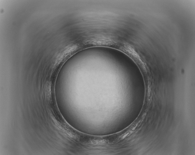 X0000086900202200704231201