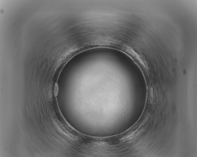 X0000086900203200704231201