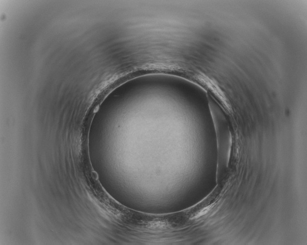 X0000086900204200704231201