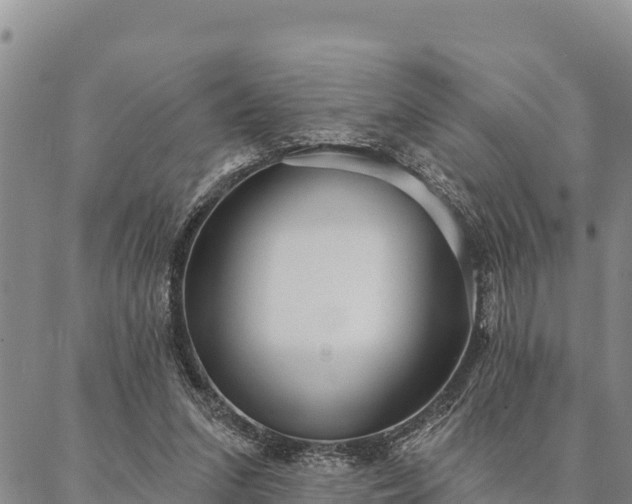 X0000086900207200704231201