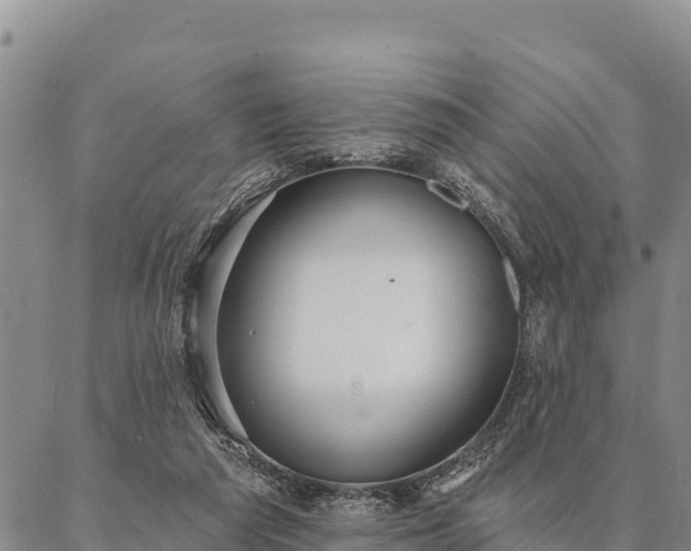 X0000086900209200704231201