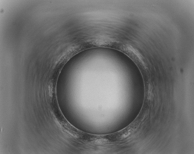 X0000086900210200704231201