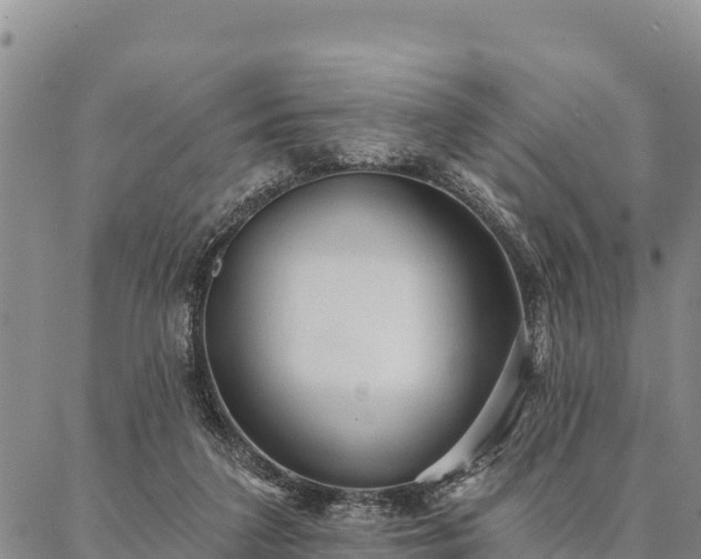 X0000086900211200704231201