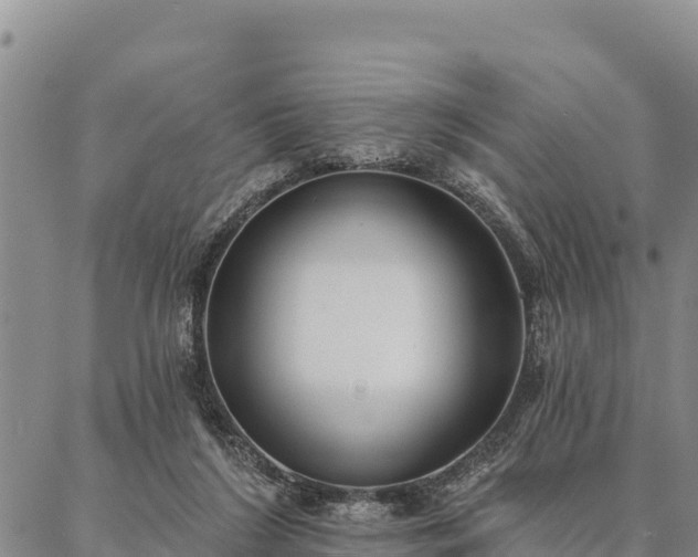 X0000086900212200704231201