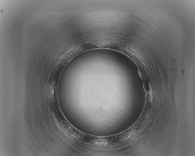 X0000086900214200704231201