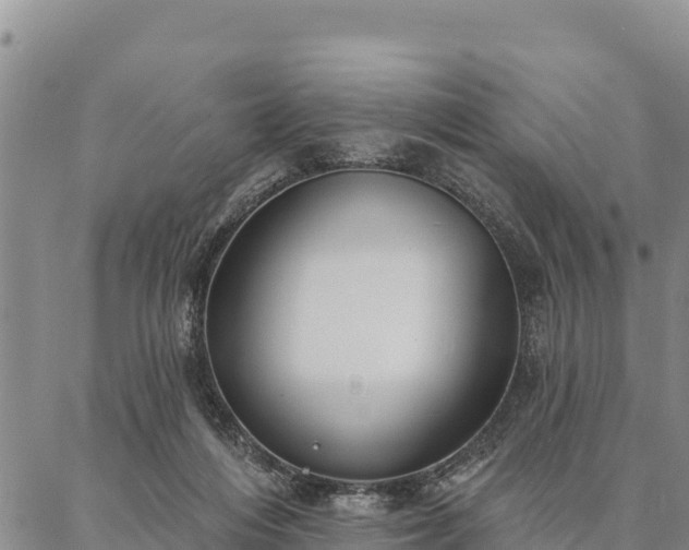 X0000086900216200704231201