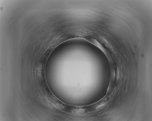 X0000086900217200704231201