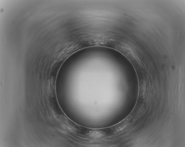 X0000086900218200704231201