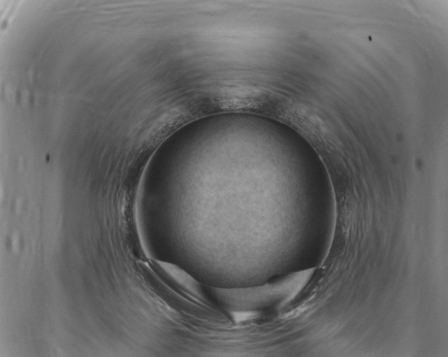 X0000086900219200704231201