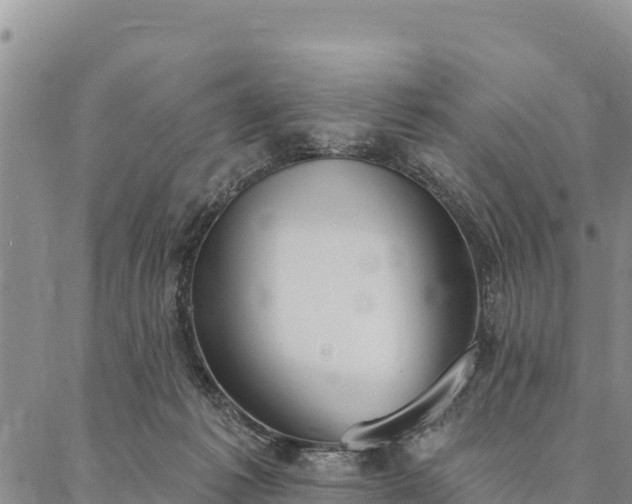 X0000086900221200704231201